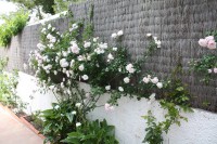 /album/photogallery/img-8924-jpg/